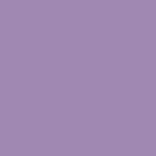 Purple Statice T15 210.5